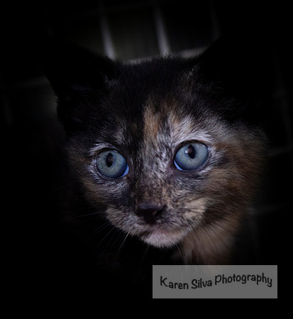 Speckled