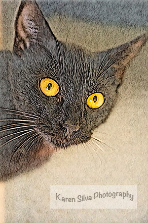 Wanda