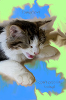 Oil Painting Effect