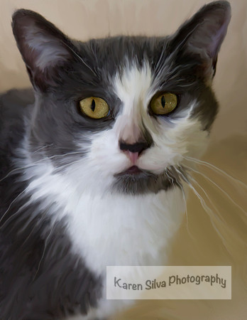 Khiua