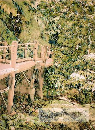 Walkway Through Haven