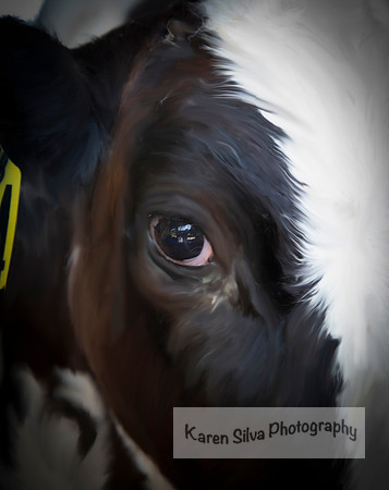 Cow Rescue #7