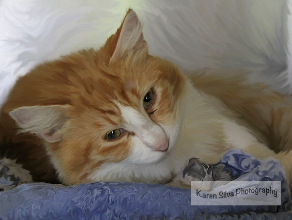 Fluff