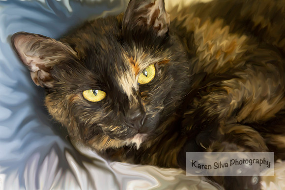 Calico