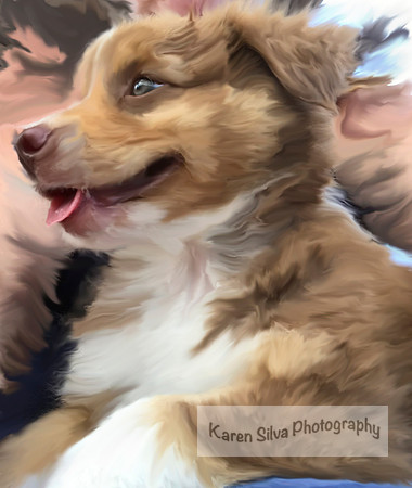Ozzy Puppy Love