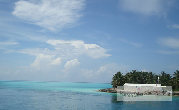Harbor Island