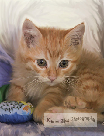 Kitty