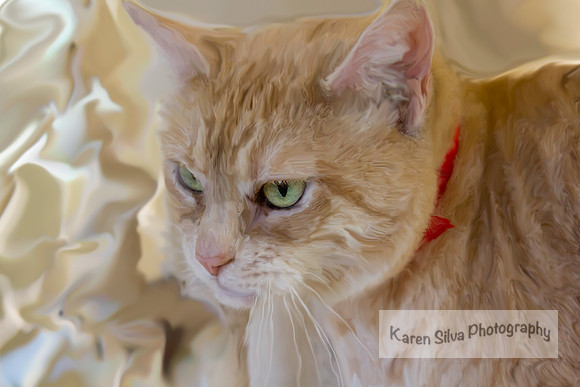 Tigerlily