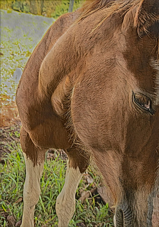 sh129p03