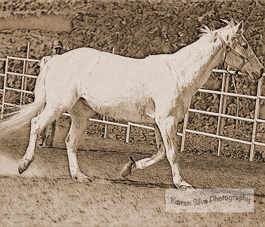 sh159p09