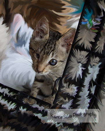 Rescued