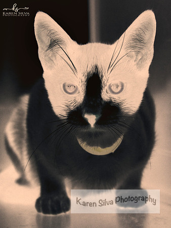 Hunter