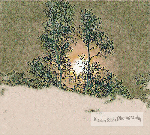 Moon Rising