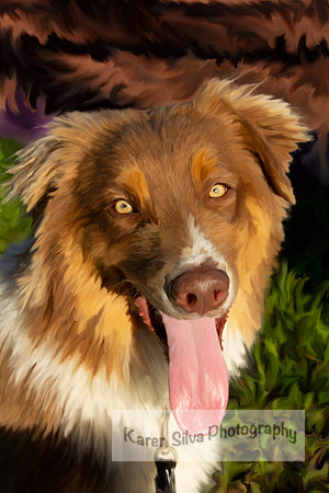 Moku