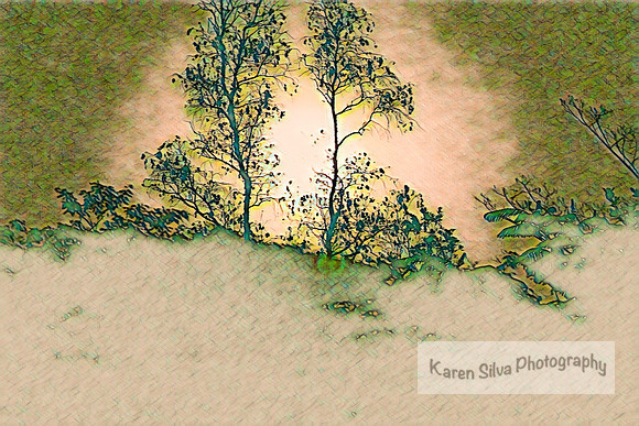 Moon Rising