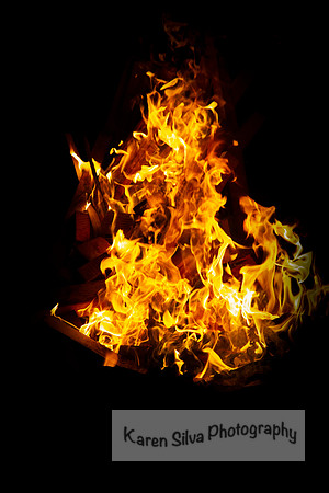 Wildfire