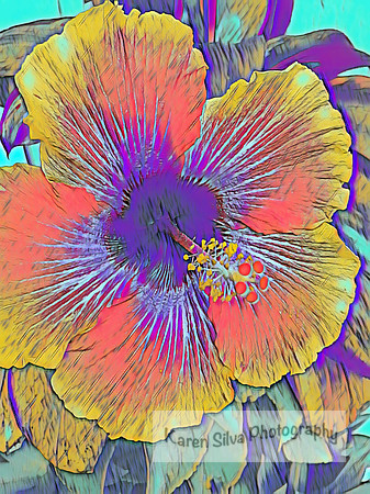 Yellow Hibiscus