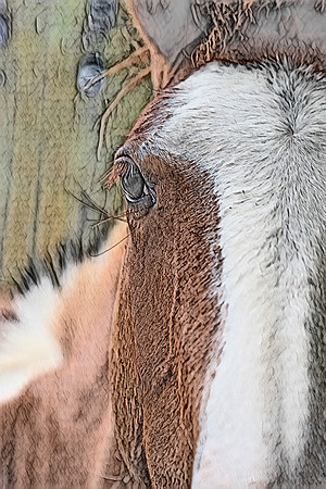 sh122p08
