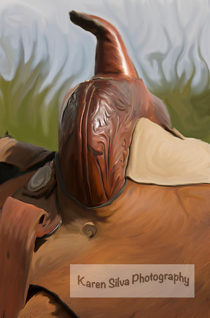 A Western Ride