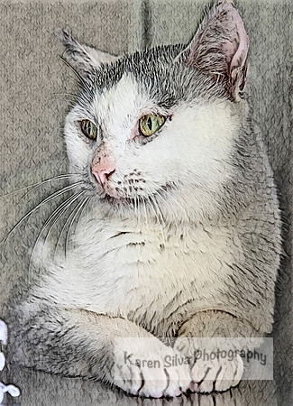 Mac