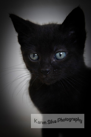 Blue eyes