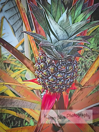 Pineapple