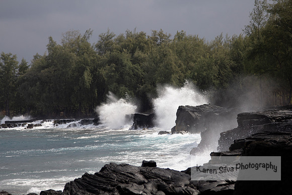 Ocean Spray