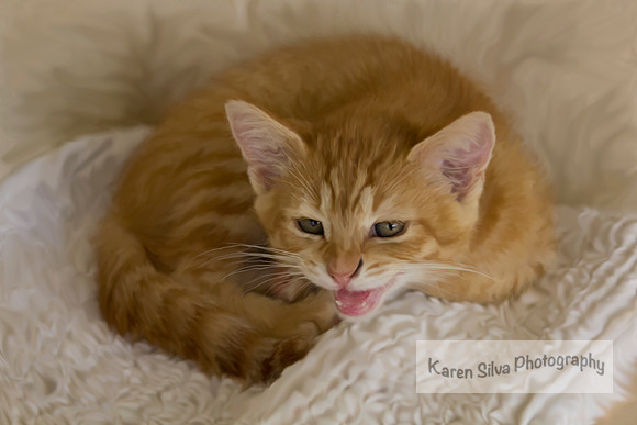 Fred
