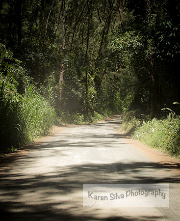 Road Less Traveled