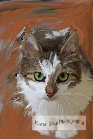 Kitty Puss