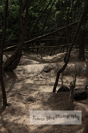 A Secret Place #2