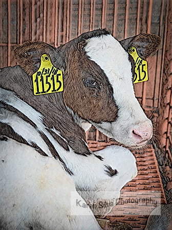 Cow Rescue #5