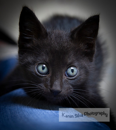 Blue Eyes
