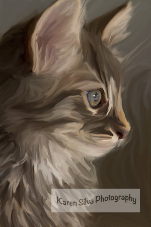 Fluffy Kitten #2