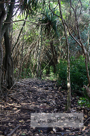 A Secret Path