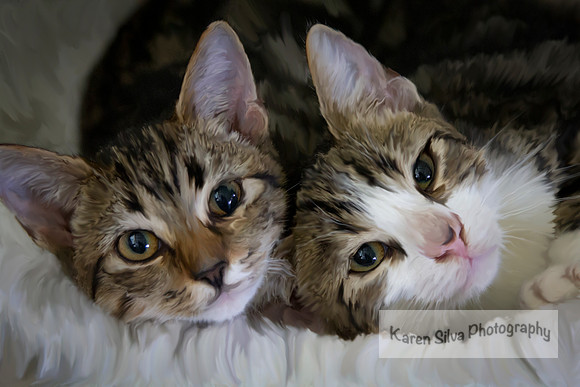 Orla & Otis