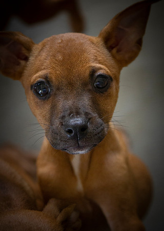 Little One