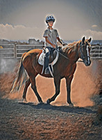 Dixie - Beyond The Gaits Herd