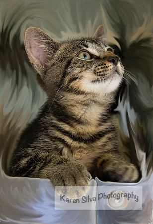 Gizmo #1