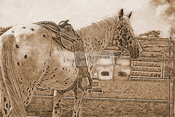 sh139p11