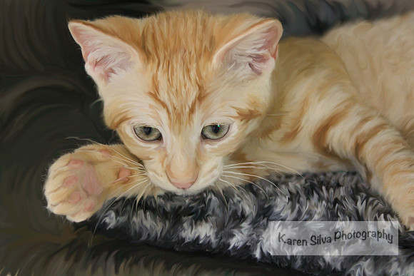 Ginger