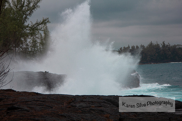 Ocean Spray #4