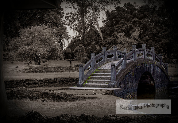 Liliuokalani Garden Bridge #1