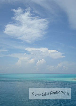 Harbor Island