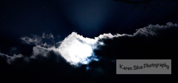 Moonlight Luminescence