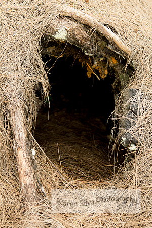 A Hidden Hole
