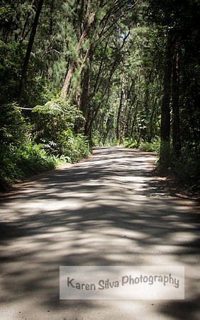 A Road Less Traveled