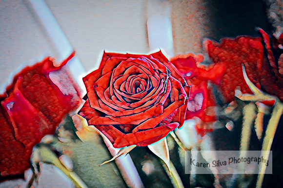 Roses