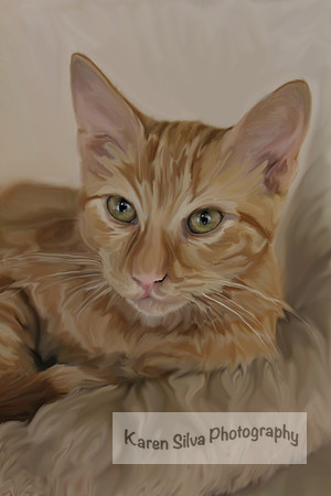 Kastor