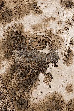sh139p06
